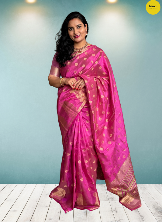 Tussar Saree (Mango Border)